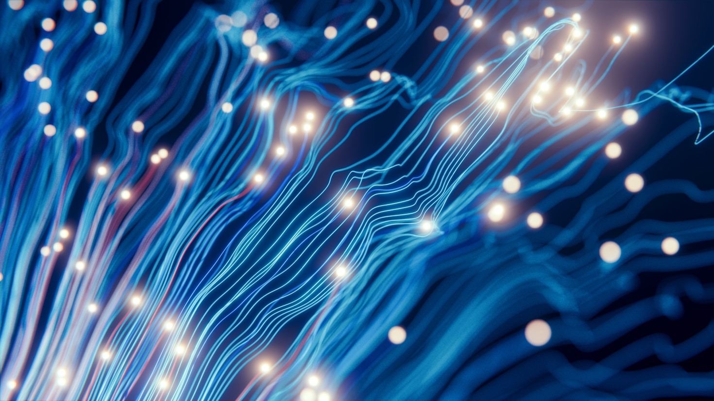 The Role of Specialized Skills in AI Success